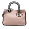 Secondhand Dior Mini Tricolor Leather Diorissimo Satchel