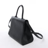 Delvaux Brillant MM Leather 2Way Handbag in Black Secondhand