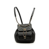 Chanel Small Lambskin Duma Backpack Secondhand