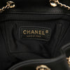 Chanel Small Lambskin Duma Backpack Secondhand