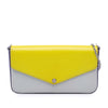 Louis Vuitton Epi Tricolor Pochette Felicie Secondhand