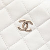Chanel CC Quilted Lambskin Chain Around Pouch Hobo Secondhand