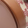 Celine Small Triomphe Coated Canvas Tambour Crossbody Secondhand