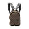 Louis Vuitton Monogram Palm Springs PM Secondhand