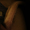 Louis Vuitton Monogram Speedy 25 Secondhand