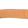 Louis Vuitton Monogram Amazon Secondhand