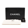 Chanel Medium Quilted Lambskin Duma Backpack Secondhand