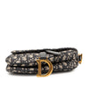 Dior Mini Oblique Canvas Saddle Bag Secondhand