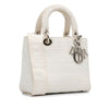 Dior Medium Embroidered Canvas Cannage Lady D Lite Secondhand