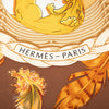 Hermès Couvee d Hermes Silk Scarf 90 Secondhand