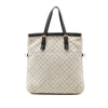 Louis Vuitton Monogram Mini Lin Francoise Secondhand