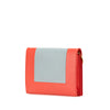Secondhand Celine Frame Leather Wallet on Chain