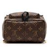 Louis Vuitton Monogram Mini Palm Springs Secondhand