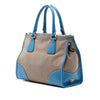 Prada Saffiano Trimmed Canvas Canapa Logo Double Zip Satchel Secondhand