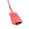 Prada Saffiano Buckle Camera Bag Secondhand