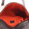 Louis Vuitton Lionne Damier Sauvage Pony-style Leather Handbag in Brown M92131 Secondhand