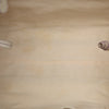 Celine Macadam Canvas Tote Secondhand