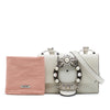 Miu Miu Goatskin Madras Soft Calf Crystal Embellished Crossbody Secondhand