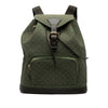 Louis Vuitton Monogram Mini Lin Montsouris GM Secondhand