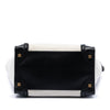 Celine Mini Bicolor Canvas and Leather Luggage Tote Secondhand