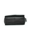 Celine Medium Shiny Smooth Calfskin Frame Shoulder Bag Secondhand