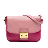 Miu Miu Bicolor Goatskin Madras Crossbody Secondhand