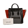 Celine Mini Tricolor Felt Wool and Calfskin Luggage Tote Secondhand