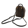 Louis Vuitton Monogram Mini Palm Springs Secondhand