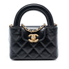 Secondhand Chanel Mini Nano Aged Calfskin Kelly Shopper Bag