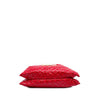 Louis Vuitton Monogram Vinyl Squishy Secondhand