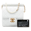 Chanel Small Quilted Lambskin Chic Pearls Flap Secondhand