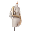 Dior Oblique Embroidered Canvas Saddle Bag Secondhand