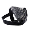 Dior Oblique Canvas Saddle Crossbody Secondhand