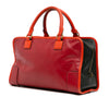 LOEWE Tricolor Leather Amazona 36 Secondhand