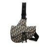 Dior Oblique Canvas Saddle Crossbody Secondhand