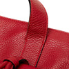 Burberry House Check Trimmed Grainy Calfskin Horn Toggle Tote Secondhand