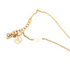 Louis Vuitton Gold Plated Resin Essential V Necklace Secondhand