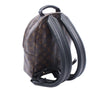 Louis Vuitton Monogram Palm Springs PM Secondhand
