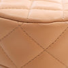 Chanel Small Quilted Aged Calfskin Chanel 19 Hobo Secondhand