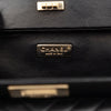 Chanel Chevron Lambskin Reissue 2.55 Frame Crossbody Secondhand