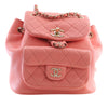 Chanel Small Lambskin Duma Backpack Secondhand