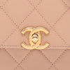Chanel Mini Quilted Lambskin Perfect Fit Flap Secondhand