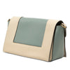 Celine Medium Shiny Smooth Calfskin Frame Shoulder Bag Secondhand