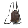 Louis Vuitton Monogram Mini Palm Springs Secondhand
