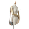 Celine Mini Triomphe Embroidered Canvas Besace Crossbody Secondhand