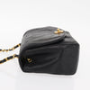 Chanel Vintage Diana Flap Bag Quilted Lambskin