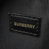 Secondhand Burberry Icon Stripe Coated Canvas Louise Crossbody