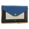 Secondhand Celine Pocket Envelope Wallet on Chain