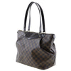 Louis Vuitton Westminster Handbag Damier