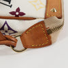 Louis Vuitton Pochette Accessoires Monogram Multicolor